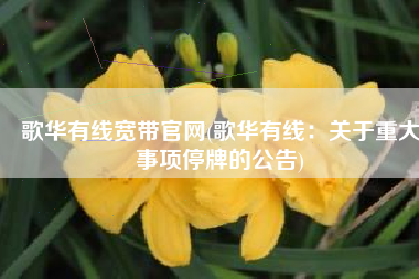 歌华有线宽带官网(歌华有线：关于重大事项停牌的公告)