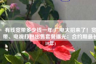 有线宽带多少钱一年(广电大招来了！宽带、电视打包出售套餐曝光：合约期最长10年)