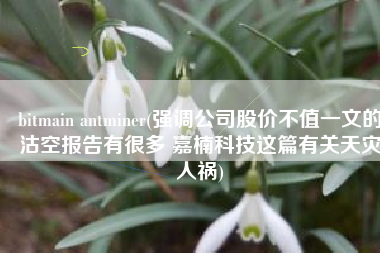 bitmain antminer(强调公司股价不值一文的沽空报告有很多 嘉楠科技这篇有关天灾人祸)