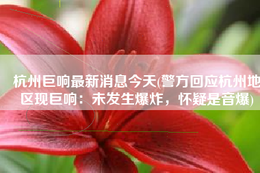 杭州巨响最新消息今天(警方回应杭州地区现巨响：未发生爆炸，怀疑是音爆)