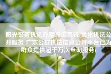 阳光警务执法办案查询系统(优化执法公开服务 广东公安执法信息公开平台已为群众提供超千万次查询服务)