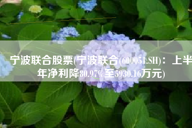 宁波联合股票(宁波联合(600051.SH)：上半年净利降80.97%至5930.16万元)
