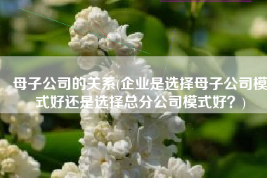 母子公司的关系(企业是选择母子公司模式好还是选择总分公司模式好？)