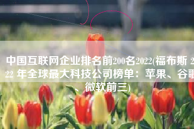 中国互联网企业排名前200名2022(福布斯 2022 年全球最大科技公司榜单：苹果、谷歌、微软前三)