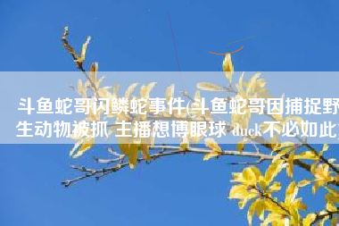 斗鱼蛇哥闪鳞蛇事件(斗鱼蛇哥因捕捉野生动物被抓 主播想博眼球 duck不必如此)