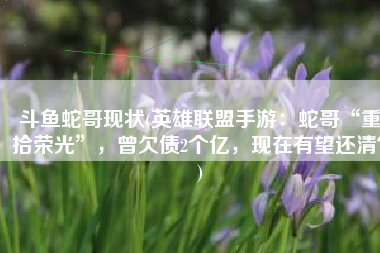 斗鱼蛇哥现状(英雄联盟手游：蛇哥“重拾荣光”，曾欠债2个亿，现在有望还清？)
