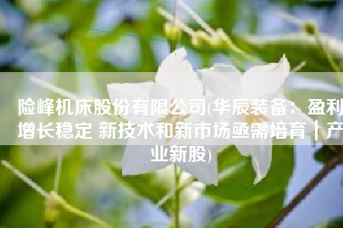 险峰机床股份有限公司(华辰装备：盈利增长稳定 新技术和新市场亟需培育｜产业新股)