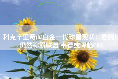 科克辛里奇(03白金一代球星现状：詹姆斯仍然称霸联盟 韦德或降临CBA)