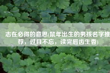 志在必得的意思(鼠年出生的男孩名字推荐，过目不忘，读完唇齿生香)