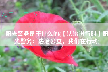 阳光警务是干什么的(【法治进行时】阳光警务：法治公安，我们在行动)