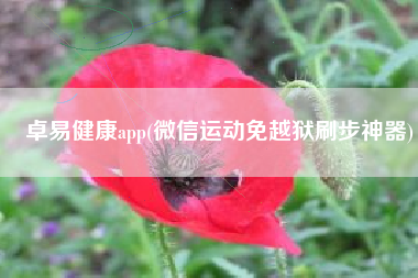 卓易健康app(微信运动免越狱刷步神器)