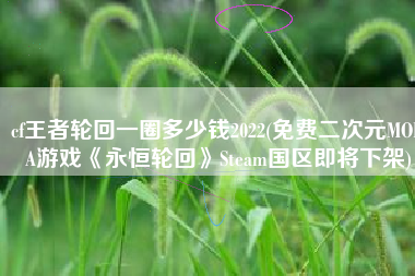 cf王者轮回一圈多少钱2022(免费二次元MOBA游戏《永恒轮回》Steam国区即将下架)