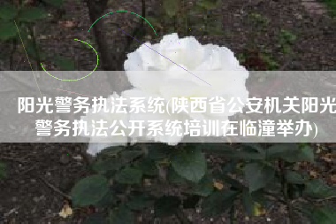 阳光警务执法系统(陕西省公安机关阳光警务执法公开系统培训在临潼举办)