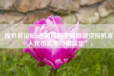 投机客论坛(逆周期因子震慑做空投机客 人民币汇率“很淡定”)