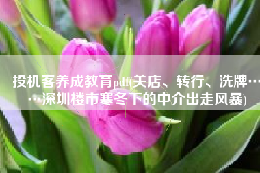 投机客养成教育pdf(关店、转行、洗牌……深圳楼市寒冬下的中介出走风暴)