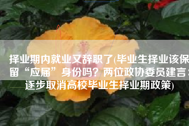 择业期内就业又辞职了(毕业生择业该保留“应届”身份吗？两位政协委员建言：逐步取消高校毕业生择业期政策)