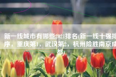 新一线城市有哪些2021排名(新一线十强排序，重庆第1，武汉第2，杭州险胜南京成都)
