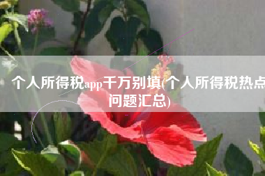 个人所得税app千万别填(个人所得税热点问题汇总)