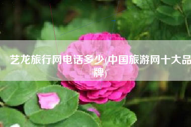 艺龙旅行网电话多少(中国旅游网十大品牌)
