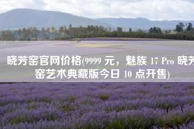 晓芳窑官网价格(9999 元，魅族 17 Pro 晓芳窑艺术典藏版今日 10 点开售)