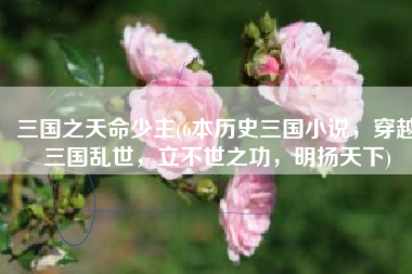 三国之天命少主(6本历史三国小说，穿越三国乱世，立不世之功，明扬天下)