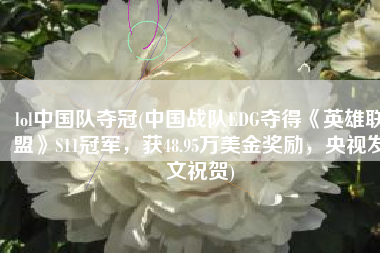 lol中国队夺冠(中国战队EDG夺得《英雄联盟》S11冠军，获48.95万美金奖励，央视发文祝贺)