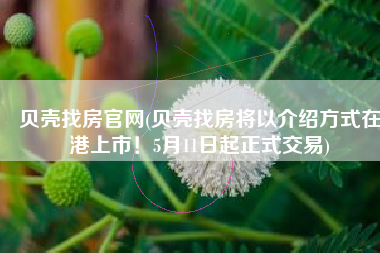贝壳找房官网(贝壳找房将以介绍方式在港上市！5月11日起正式交易)