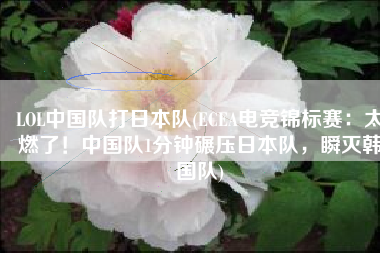 LOL中国队打日本队(ECEA电竞锦标赛：太燃了！中国队1分钟碾压日本队，瞬灭韩国队)