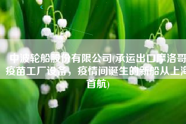 中波轮船股份有限公司(承运出口摩洛哥疫苗工厂设备，疫情间诞生的新船从上海首航)