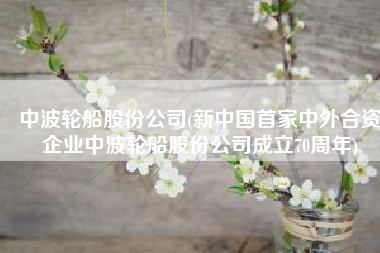中波轮船股份公司(新中国首家中外合资企业中波轮船股份公司成立70周年)