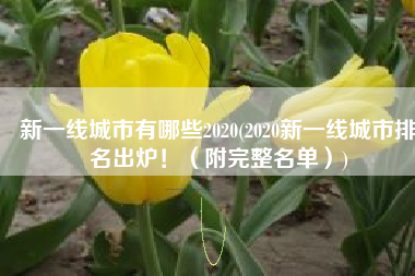 新一线城市有哪些2020(2020新一线城市排名出炉！（附完整名单）)