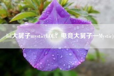 lol大舅子mystic(LOL：电竞大舅子—Mystic)