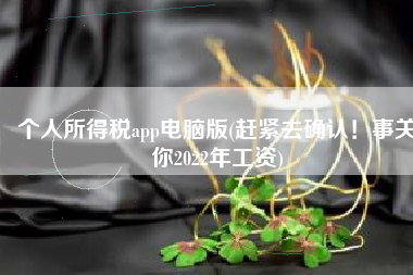 个人所得税app电脑版(赶紧去确认！事关你2022年工资)