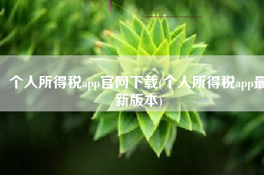 个人所得税app官网下载(个人所得税app最新版本)