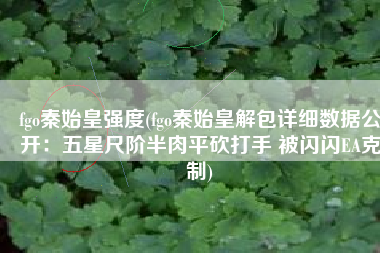 fgo秦始皇强度(fgo秦始皇解包详细数据公开：五星尺阶半肉平砍打手 被闪闪EA克制)