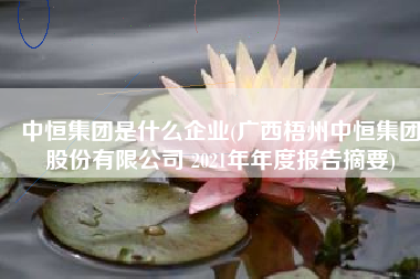 中恒集团是什么企业(广西梧州中恒集团股份有限公司 2021年年度报告摘要)