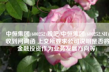 中恒集团(600252)股吧(中恒集团(600252.SH)收到问询函 上交所要求公司说明是否将金融投资作为业务发展方向等)
