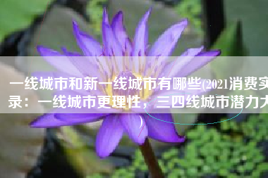一线城市和新一线城市有哪些(2021消费实录：一线城市更理性，三四线城市潜力大)