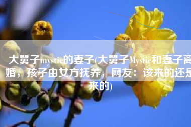 大舅子mystic的妻子(大舅子Mystic和妻子离婚，孩子由女方抚养，网友：该来的还是来的)