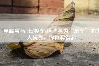 星辉宝马i8遥控车(这些名为“豪车”的大人玩具，你也买得起)