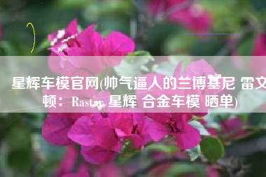 星辉车模官网(帅气逼人的兰博基尼 雷文顿：Rastar 星辉 合金车模 晒单)
