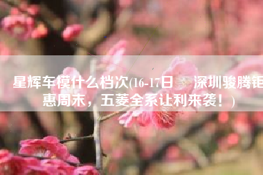 星辉车模什么档次(16-17日 ▏深圳骏腾钜惠周末，五菱全系让利来袭！)