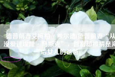 德普前妻艾梅柏·希尔德(德普前妻“从没爱过埃隆·马斯克”，首富却被猜是海后女儿的爸爸)