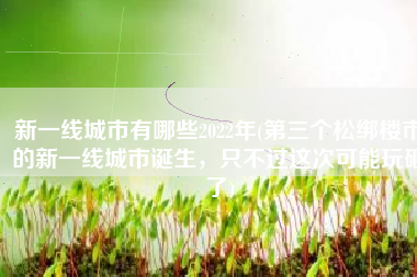 新一线城市有哪些2022年(第三个松绑楼市的新一线城市诞生，只不过这次可能玩砸了)