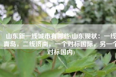 山东新一线城市有哪些(山东现状：一线青岛，二线济南，一个对标国际，另一个对标国内)