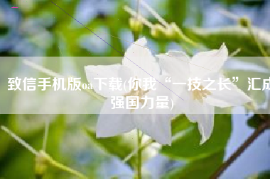 致信手机版oa下载(你我“一技之长”汇成强国力量)