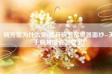 晓芳窑为什么贵(揭开晓芳窑瓷器面纱--关于晓芳汝瓷之管见)