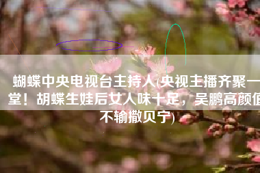蝴蝶中央电视台主持人(央视主播齐聚一堂！胡蝶生娃后女人味十足，吴鹏高颜值不输撒贝宁)