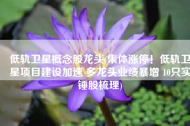 低轨卫星概念股龙头(集体涨停！低轨卫星项目建设加速 多龙头业绩暴增 10只实锤股梳理)