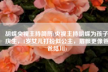 胡蝶央视主持简历(央视主持胡蝶为孩子庆生，1岁女儿打扮似公主，眉眼更像爸爸陆川)